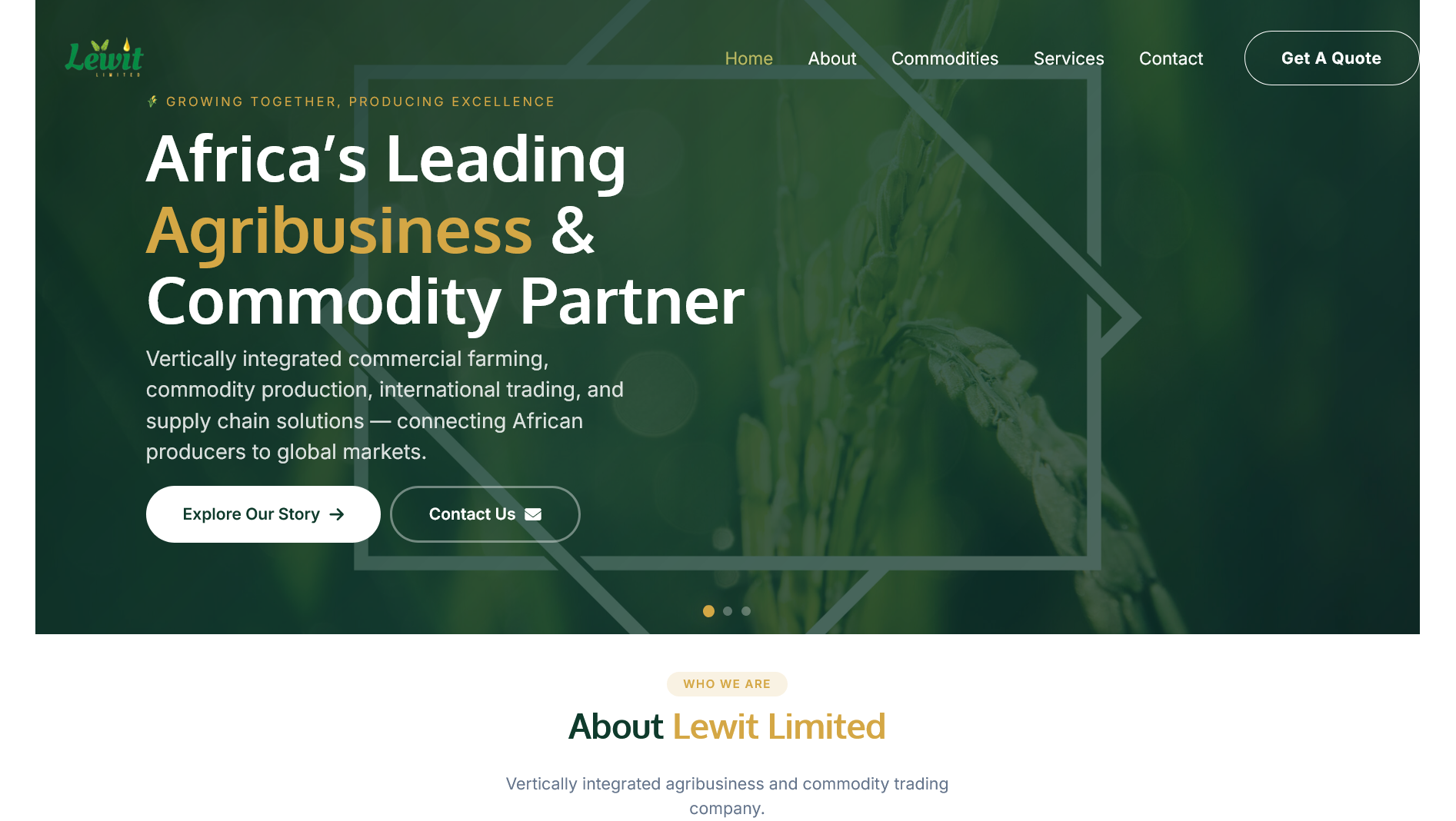Lewit home